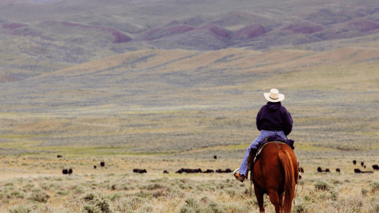 U.S. Border Patrol will not be longer use horses in Del Rio, Texas