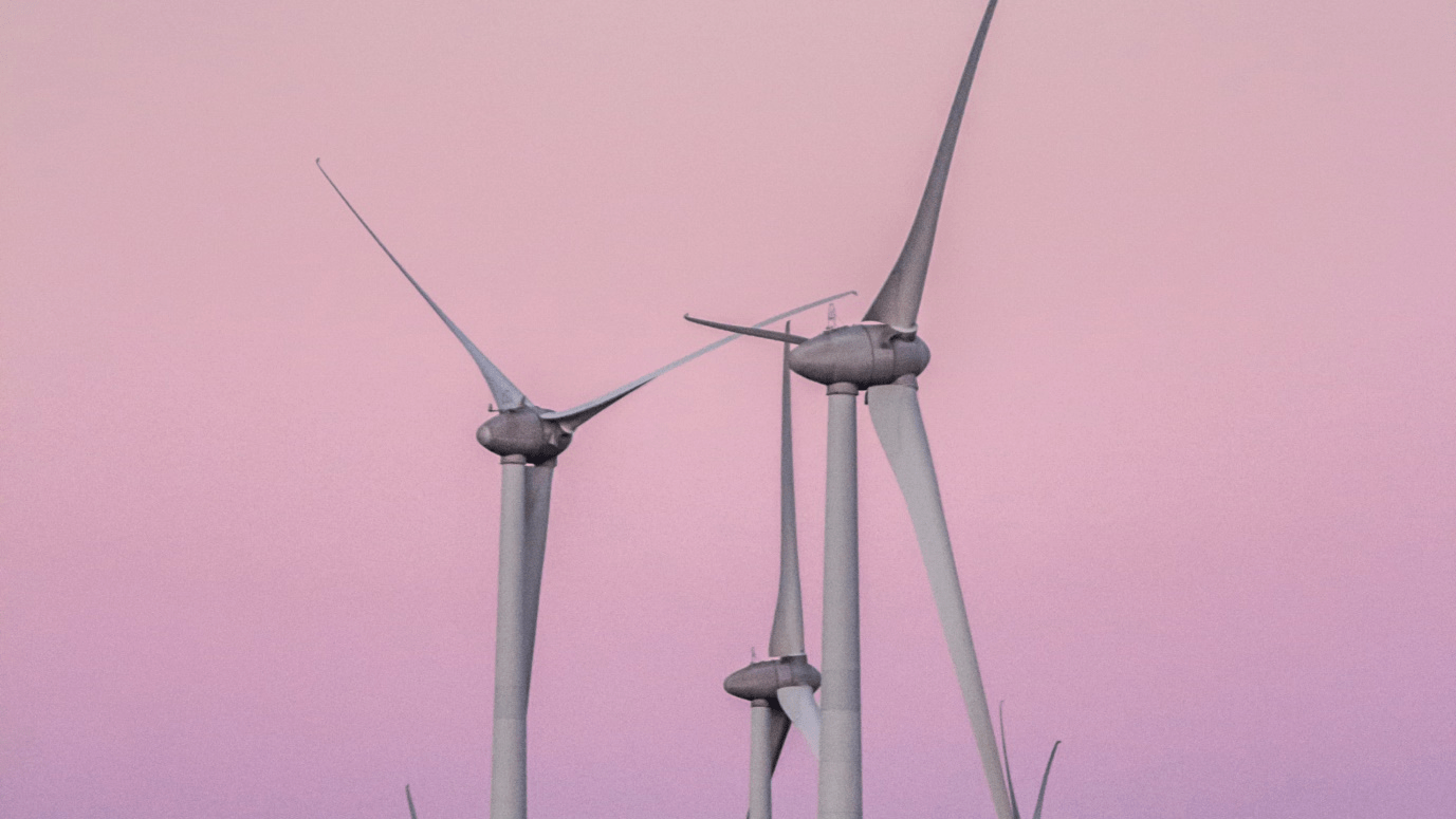Amazon-backed wind farm in Scotland begins operations