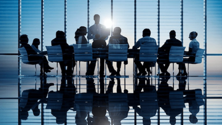 Beyond the Horizon: Illuminating CEOs to the Boardroom Blind Spot